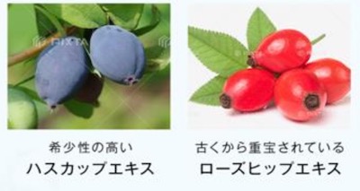オルビスユードット　G.D.Fアクティベータ